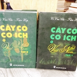 Cây Cỏ Có Ích Ở Việt Nam- Võ Văn Chi, Trần Hợp