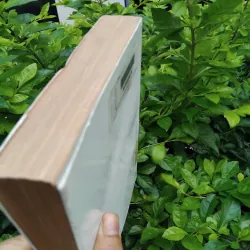 Văn hóa nghệ thuật Nam Bộ  995544