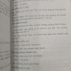 HUYỆT CHÂM CỨU TRONG THẦN KINH HỌC - HỒ HỮU LƯƠNG 999768