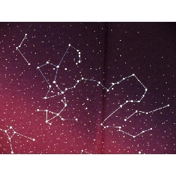 訪問着 - Hàng hiệu Authentic 877390