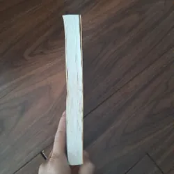 Central park - gullaume musso 734268