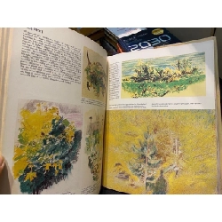 The Drawing Book – Jeffery Camp 994396