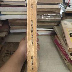 Phúc âm Chúa Nhật 995100