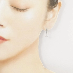 Bông tai kim cương Vandome - Hàng hiệu Authentic 844329