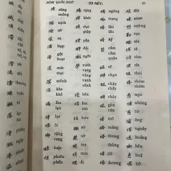 TỰ ĐIỂN CHỮ NÔM 631587