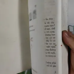 Hạt Chò Chỉ - Lê Minh 798479