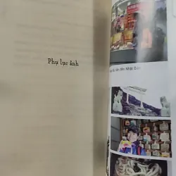 Nhật Bản Đến Và Yêu - Dương Linh 798355