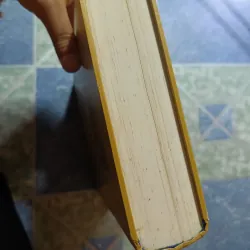 Việt Nam Phật giáo sử luận - Nguyễn Lang 974915