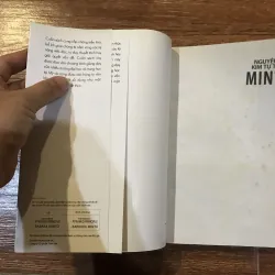 Nguyên lý Kim tự tháp Minto (8) 315804