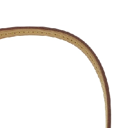 Túi xách vai Louis Vuitton Monogram Favorite MM M40718 - Hàng hiệu Chính hãng 801354