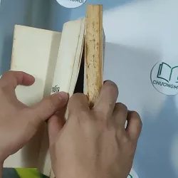 Những Mảnh Đời Đen Trắng - Nguyễn Quang Lập 798409