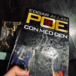 Combo 2 tác phẩm Edgar Allan Poe 447137