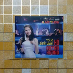 Đĩa album Hồ Quỳnh Hương 974509