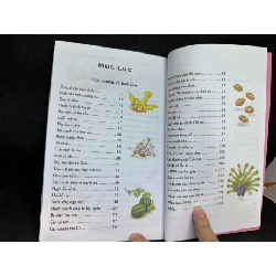 365 Chuyện Kể Trước Giờ Đi Ngủ, Ngọc Linh, Mới 90%, 2018 SBM0404 913760