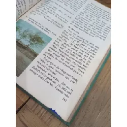 At home around the world - Delia Goetz 585619