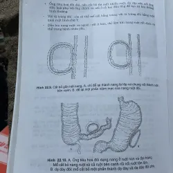 Cấp cứu ngoại khoa - nhi khoa - sách khổ lớn  1000485