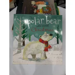 The Polar Bear Who Saved Christmas – Fiona Boon 559689