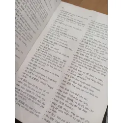 Từ điển Hán Việt  giản yếu - Đào Duy Anh 125888