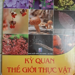 Những câu hỏi kỳ thú KỲ QUAN THẾ GIỚI THỰC VẬT 323610