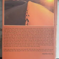 Thiên Đường Phải Không Anh? 746540