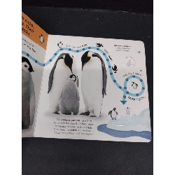 Winter wonderland mới 80% ố bẩn HCM2809 NGOẠI VĂN 917140