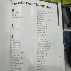 500 loài cây thường dùng trong thiết kế cảnh quan 929827