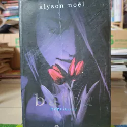 Bất Tử (Evermore)