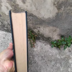 Cơ sở lý thuyết dịch đại cương của Andrey Fiodorov 1019239