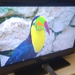 [Tivi Sony 32" Full Phụ Kiện - Thanh lý] 4646