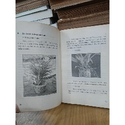 Kỹ thuật trồng hoa lan và cây kiểng - Thanh Tâm, Quốc Bảo (biên soạn) 1066667