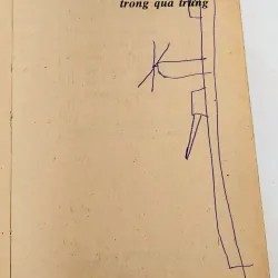 Nhà thơ Xuân Quỳnh: BẦU TRỜI TRONG QUẢ TRỨNG 747541