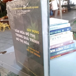 XÂY DỰNG VĂN HOÁ ĐÔ THỊ TRONG QUÁ TRÌNH ĐÔ THỊ HOÁ Ở THÀNH PHỐ HỒ CHÍ MINH  530310
