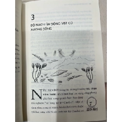 Não bộ không ngừng tiến hoá - Paul Howard-Jones 714462