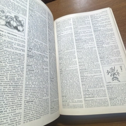 Le Petit Larousse Illustre 1993 Từ điển 408650