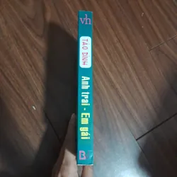 Anh trai em gái - tào đình 706583