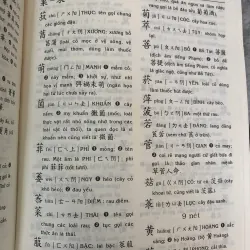 TỰ ĐIỂN HÁN VIỆT THÔNG DỤNG - LẠC THIỆN 1026650