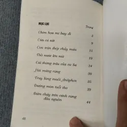 ĐÁM CHÁY TRÊN CÁNH RỪNG ĐẦU NGUỒN 720699