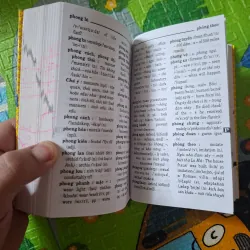 Từ điển Việt - Anh (The Vietnamese - English Dictionary) 1024159