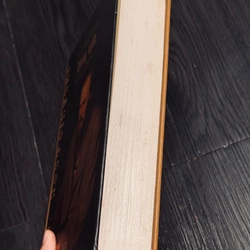 Chàng ngốc (bìa cứng, đọc mô tả) 537181