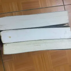 Pháp Y Tần Minh: Người Sống Sót + Kẻ Nhìn Trộm + Kẻ Dọn Rác 738987