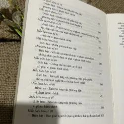 Luật xử lý vi phạm hành chính - 380 trang  797700