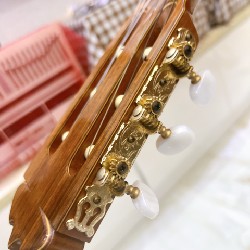 Đàn guitar Classic 6784