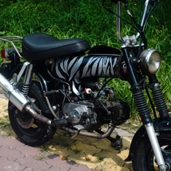 Honda Dax costum 100cc 1964 386269