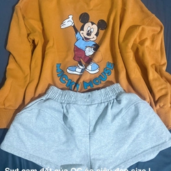 Sweater cam đất QC