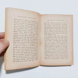 Bonjour Tristesse ( Buồn ơi chào mi) - Francoise Sagan 779976