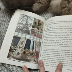 Ngón tay mình còn thơm mùi oải hương  736347