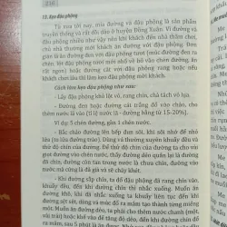 SÁCH NẤU ĂN NHƯNG LÀ Ở PHÚ YÊN (sách nghiên cứu văn hoá) 800446