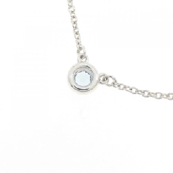 Dây chuyền Tiffany By The Yard - Hàng hiệu Authentic 841892