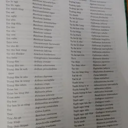 TỪ ĐIỂN THỰC VẬT THÔNG DỤNG TẬP 1 676003