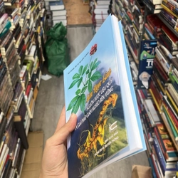 Sâm ngọc linh- nguồn dược liệu quý và giải pháp giảm nghèo bền vững 553049